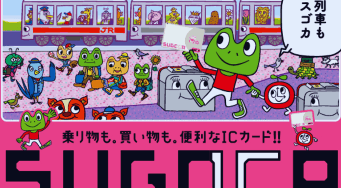 SUGOCA Card: Travel and Shop With Ease in Kyushu